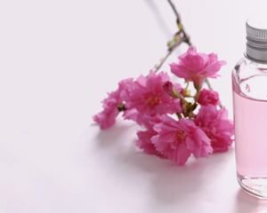Complete Massage Therapist Course Training Package